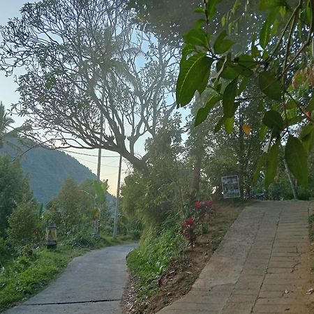 Jepun Homestay Lemukih Singaraja Εξωτερικό φωτογραφία
