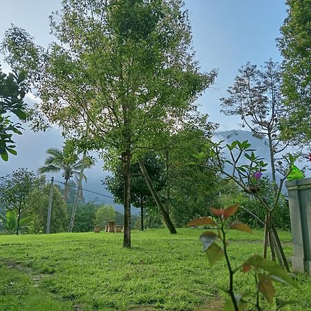 Jepun Homestay Lemukih Singaraja Εξωτερικό φωτογραφία