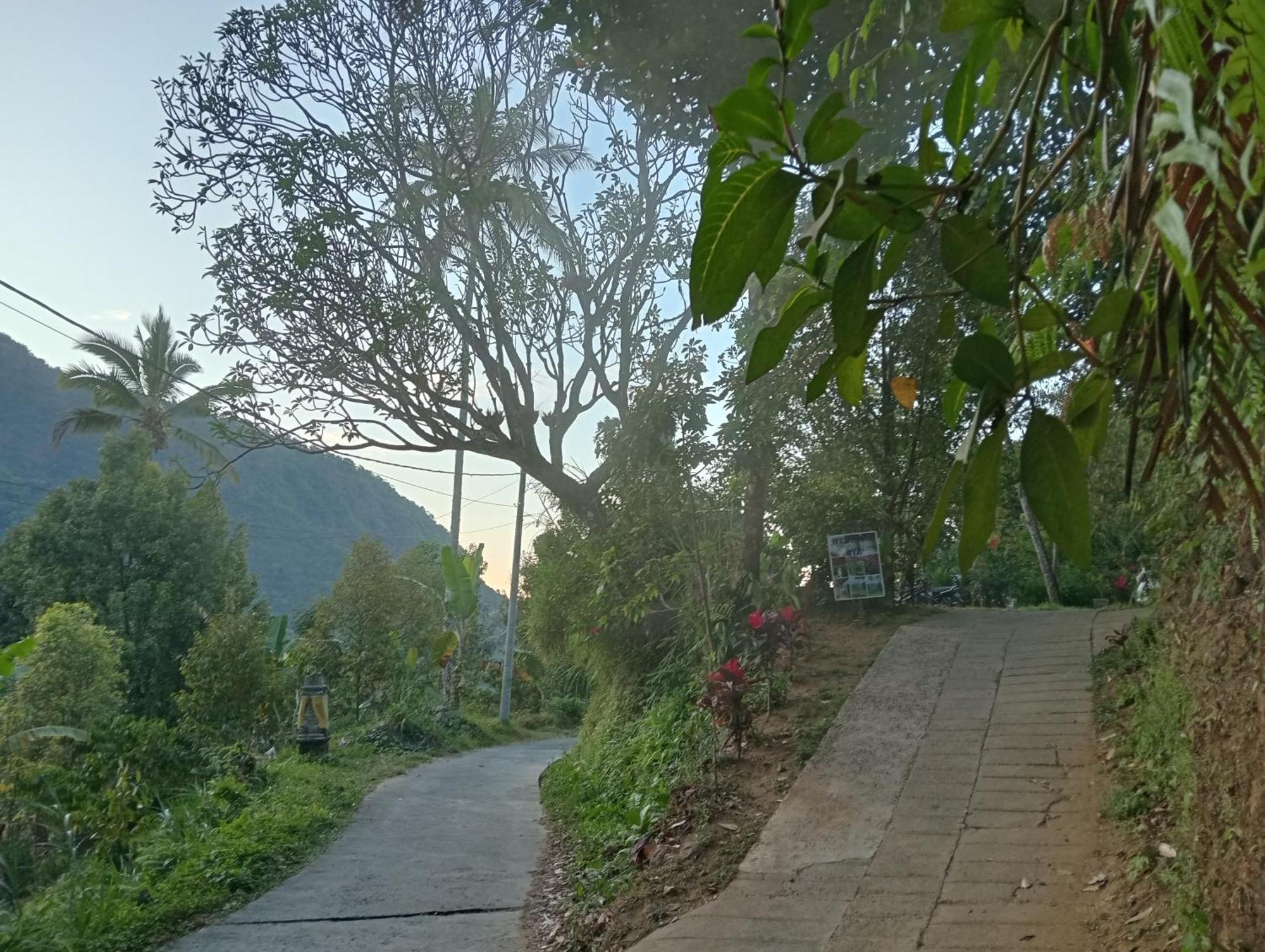 Jepun Homestay Lemukih Singaraja Εξωτερικό φωτογραφία