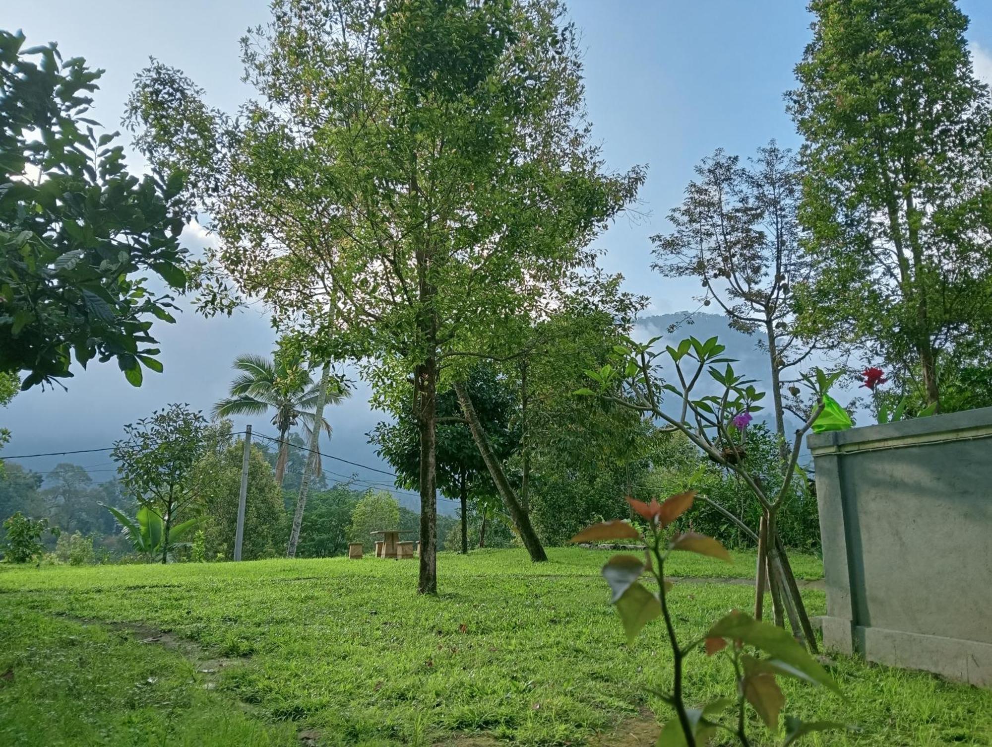Jepun Homestay Lemukih Singaraja Εξωτερικό φωτογραφία